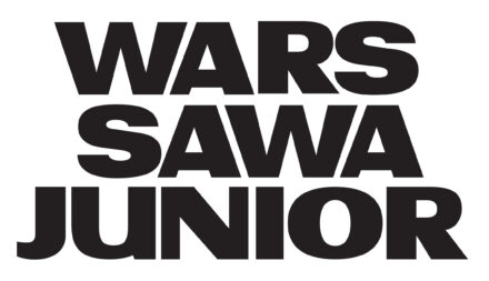 Logo: Domy Towarowe Wars Sawa Junior